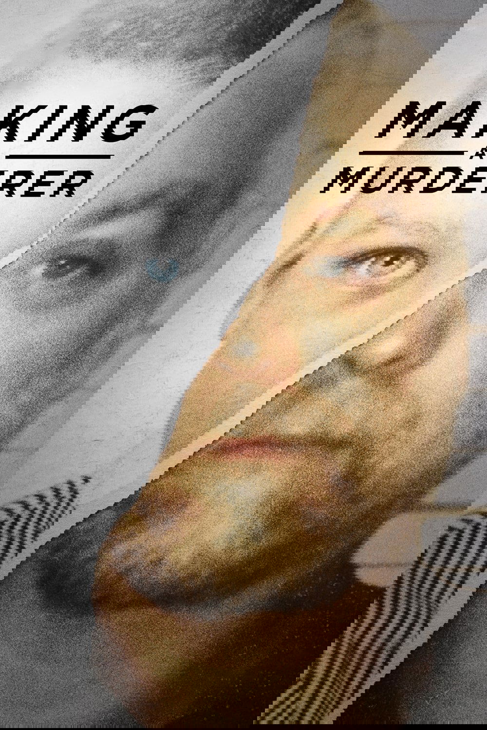 Making a Murderer [86271] (A1772268691) [[Shows 2.0]] --Plex--
